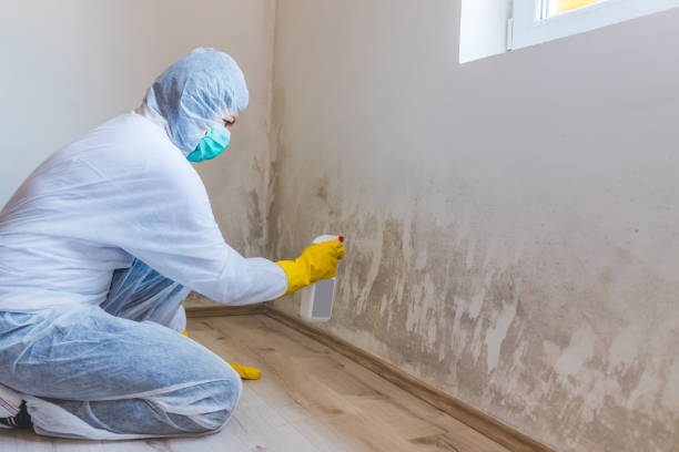 Bathroom Mold Removal assessment in Fort Myers bathroom