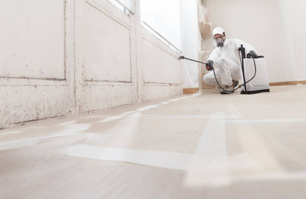 Black mold remediation team in Fort Myers